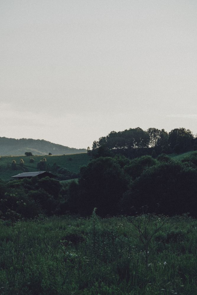 Photograph by Ригина Айдель