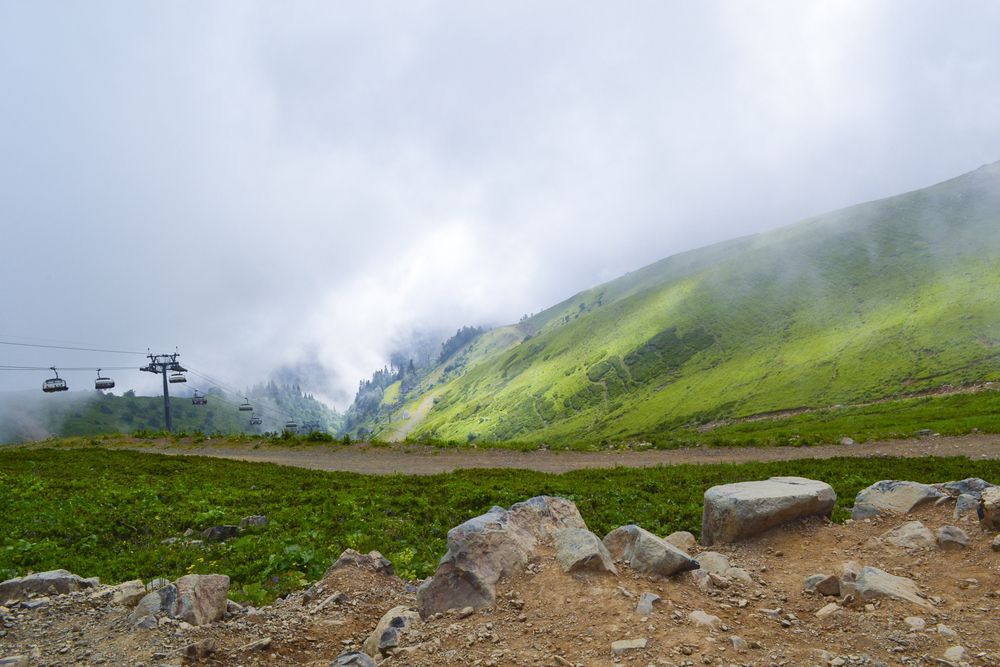Photograph by Елена Опалева
