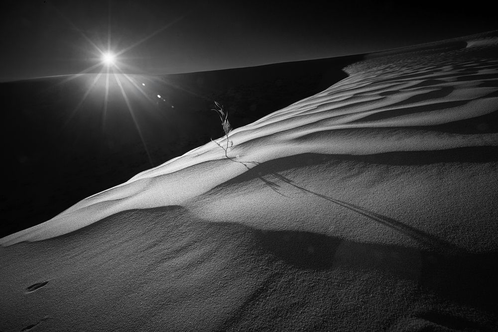 Photograph by Boris Bekelman