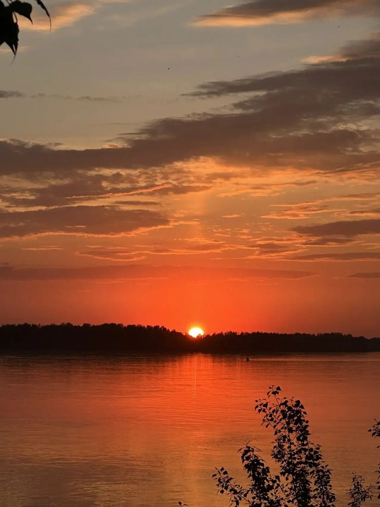 Photograph by Ксения Рыбина