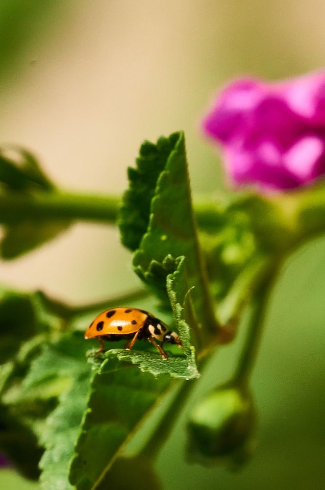 Photograph by Oleg Abdunazarov