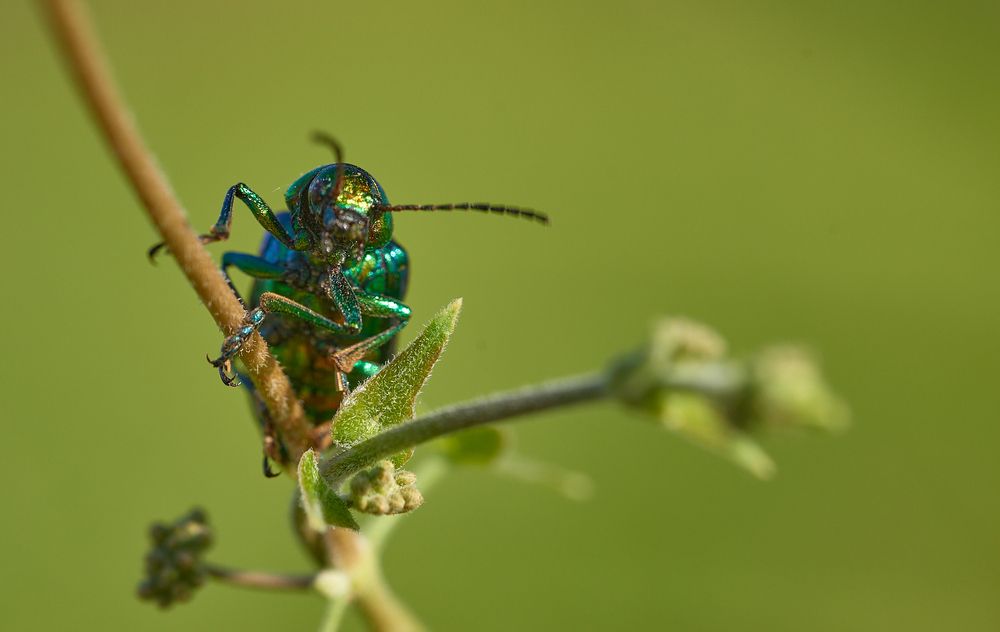 Photograph by Oleg Abdunazarov
