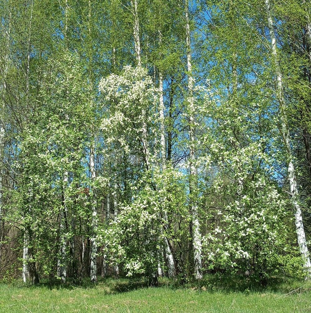 Photograph by Татьяна Кунц