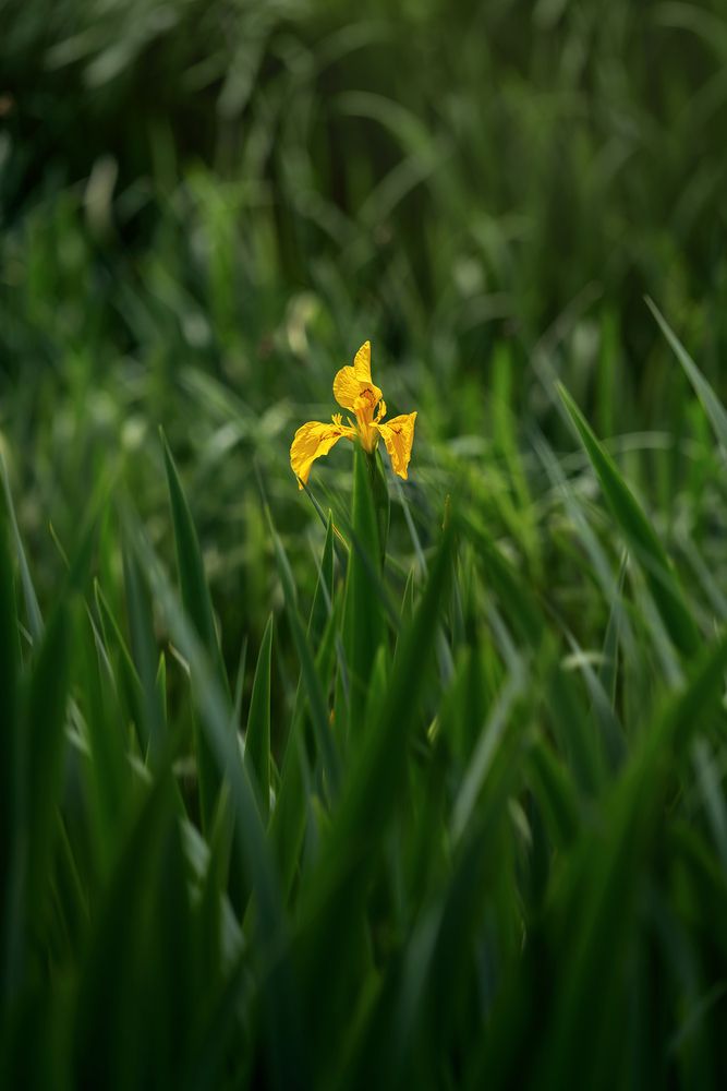 Photograph by Людмила Завьялова
