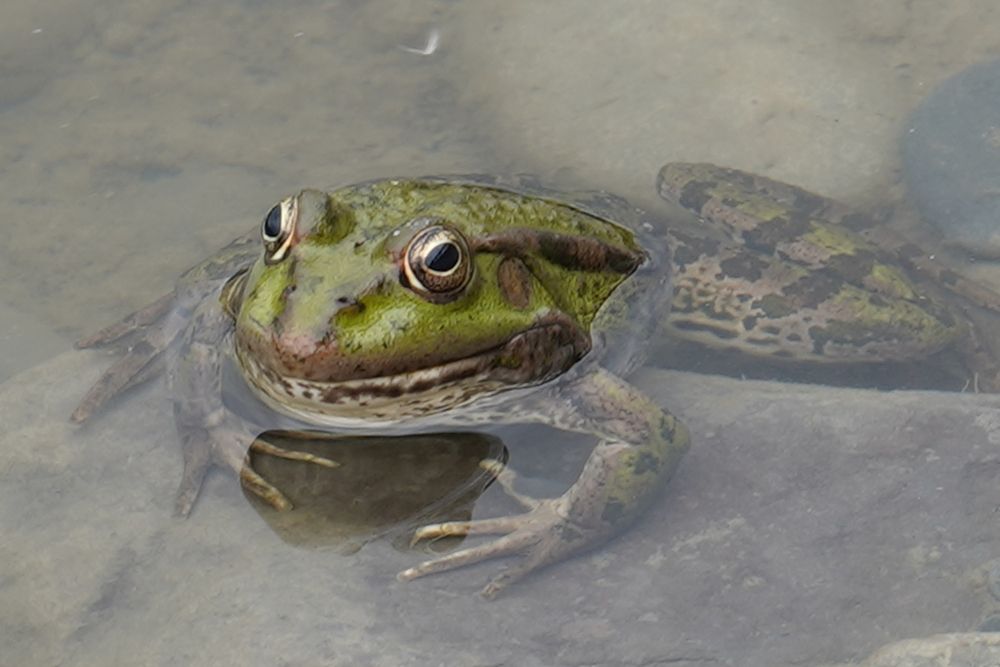 Photograph by Владимир Соколов