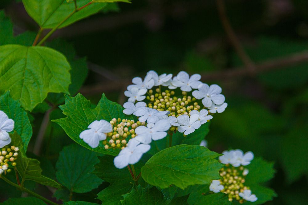 Photograph by Вячеслав Борисенко