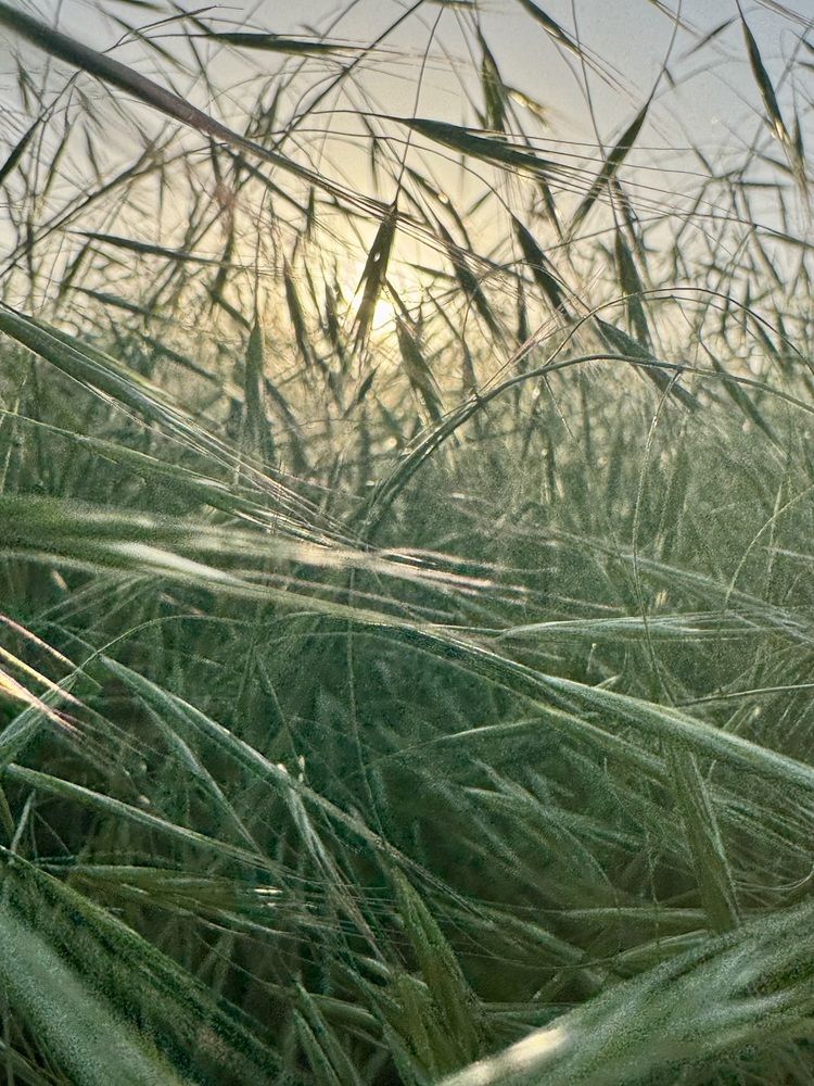 Photograph by Kamila Kwaczynska