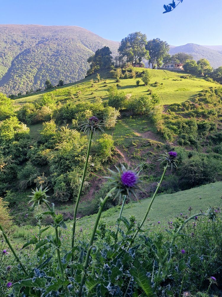 Photograph by Shahrzad Shahrokhi
