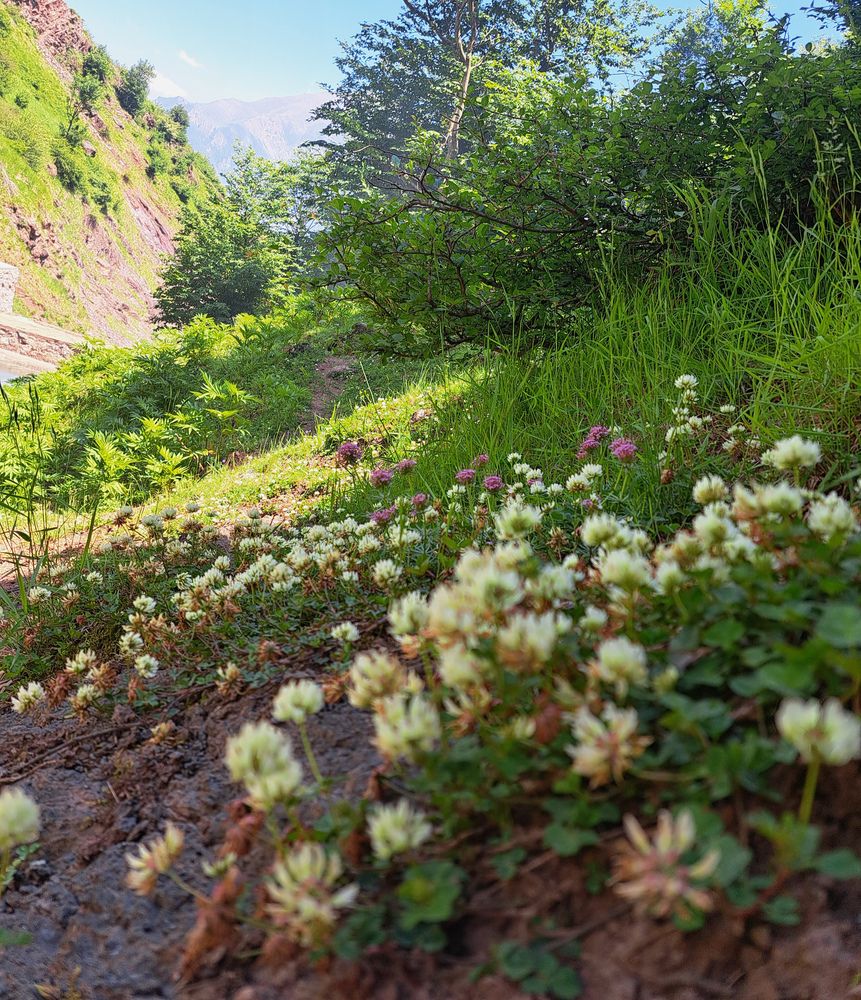 Photograph by Shahrzad Shahrokhi