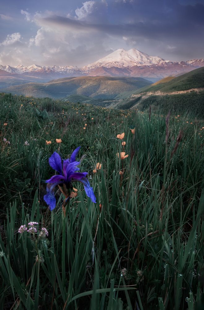 Photograph by Онучина Юлия