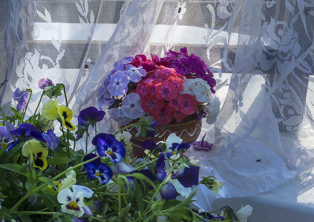 Photograph by Елена Белькова