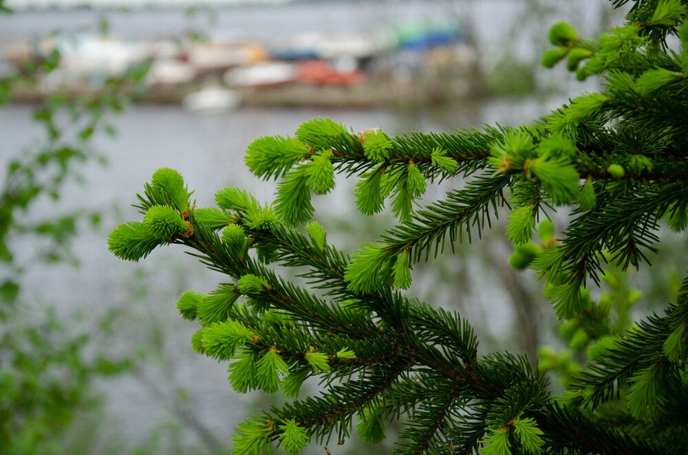 Photo #13640014