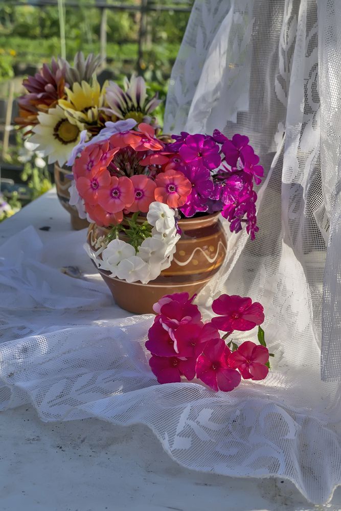 Photograph by Елена Белькова