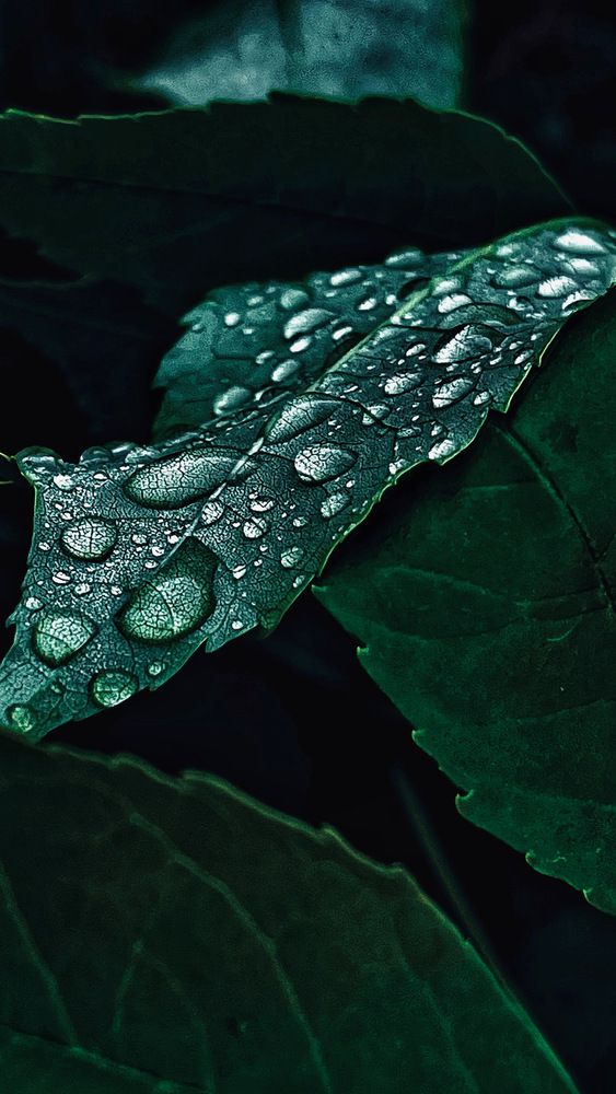 Photograph by Динара