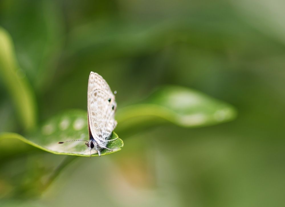 Photograph by Merav Zuberman Perkal