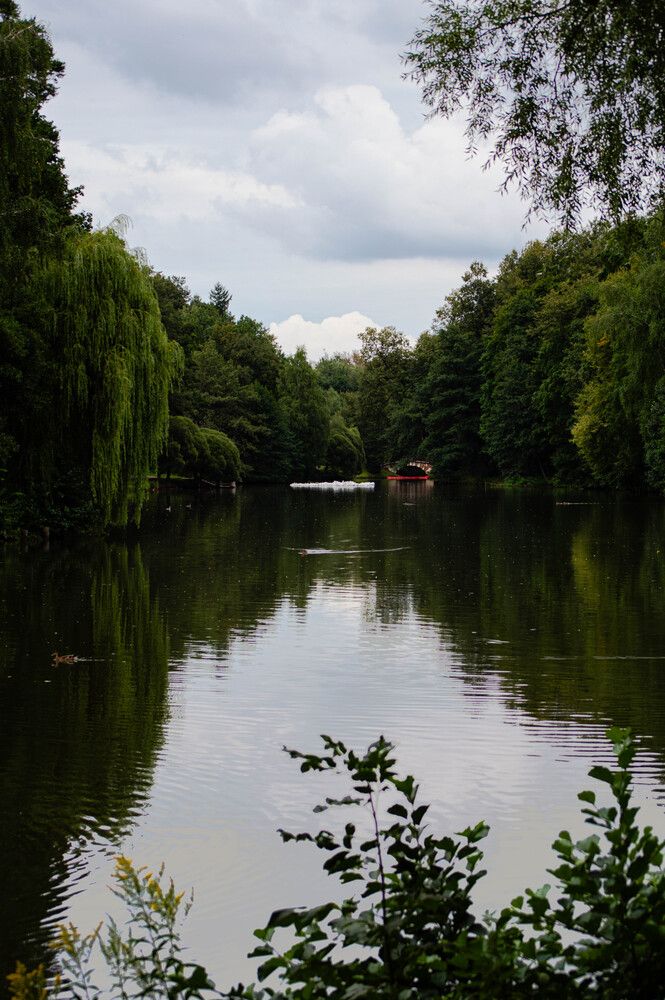 Photo #13640218