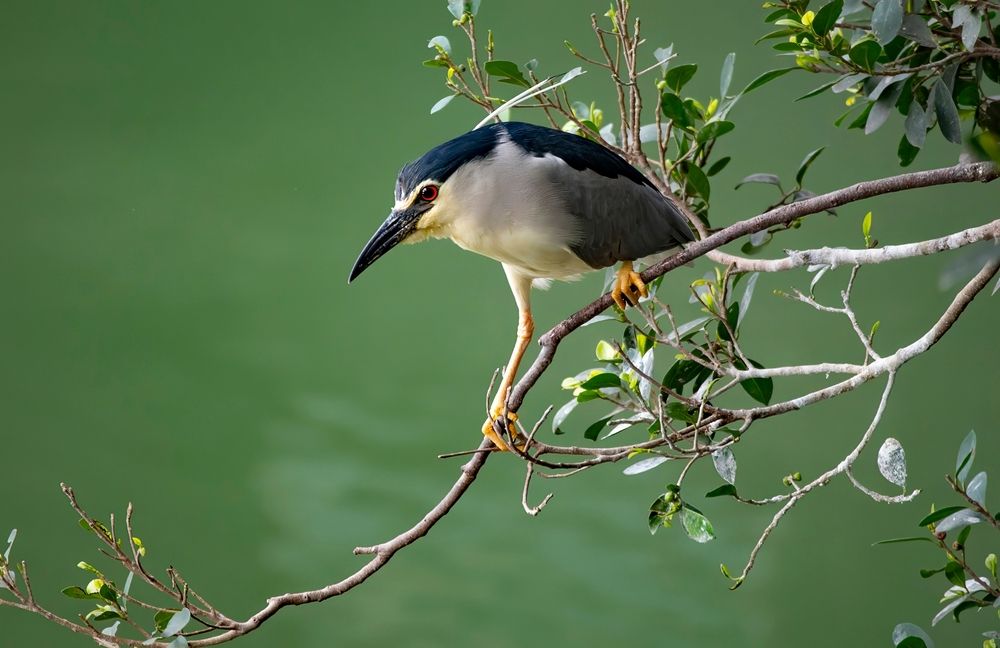 Photograph by Gurdina Lena