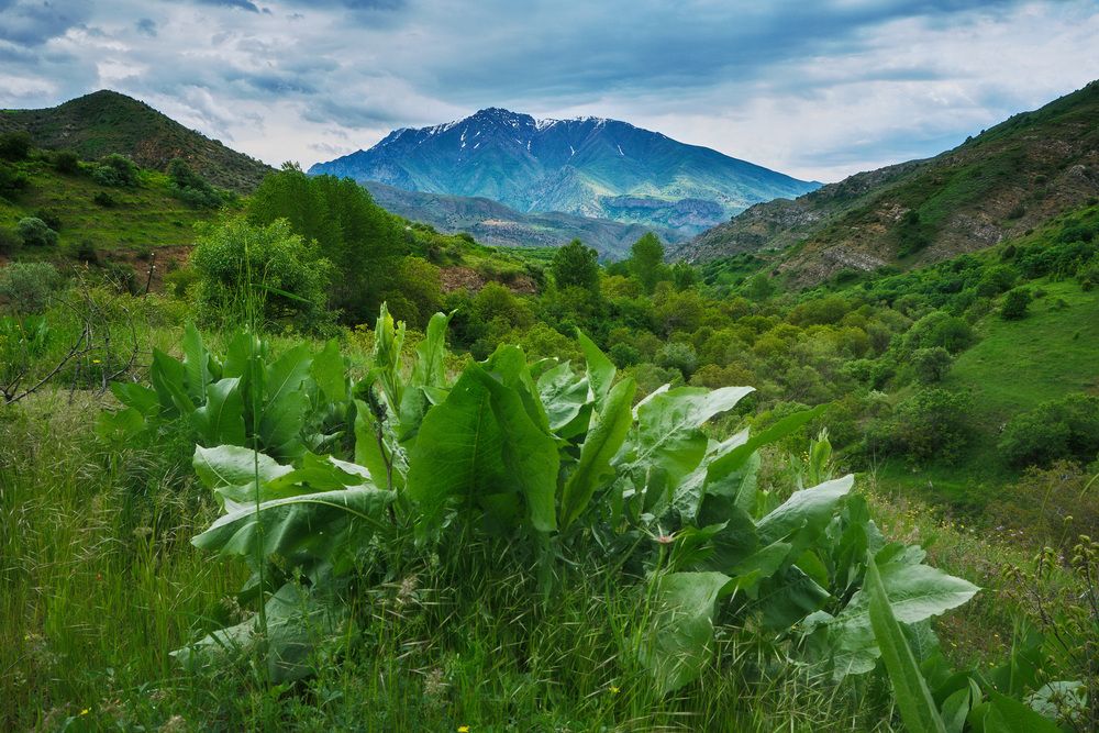 Photograph by Samvel Sargsyan