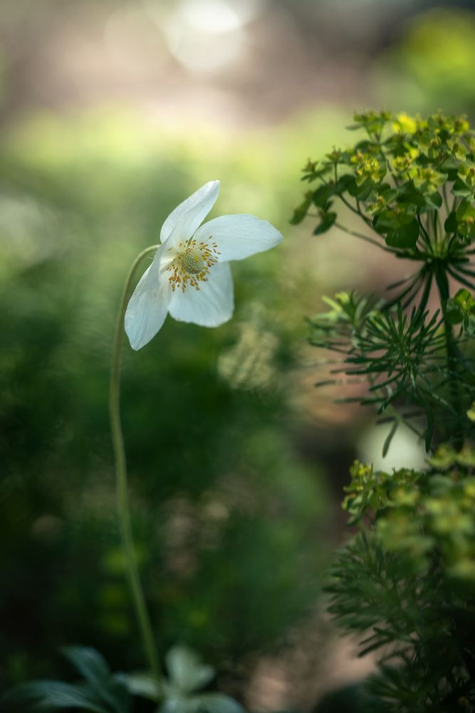 Photograph by Людмила Завьялова