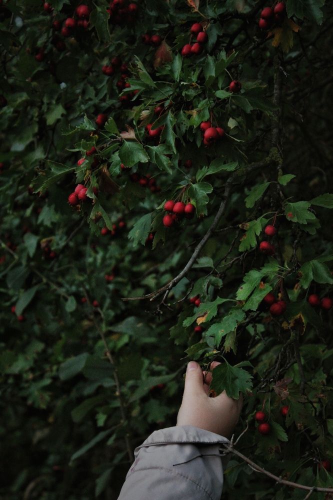Photograph by Анна Захарчук