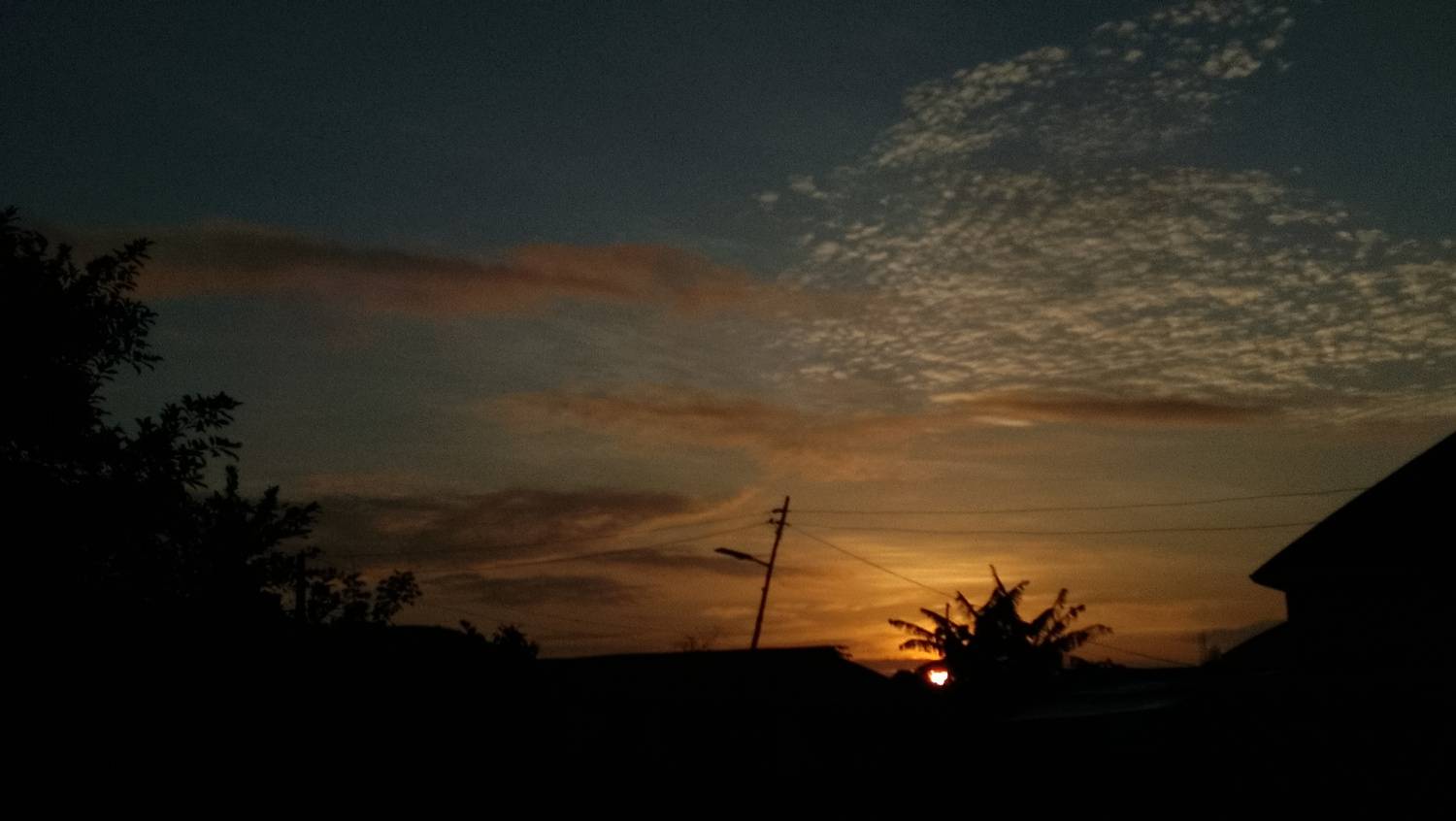 Photo #13640471