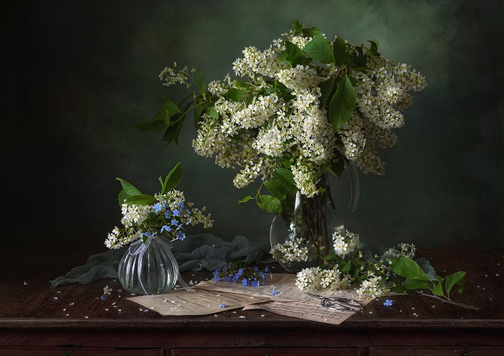 Photograph by S. Dana
