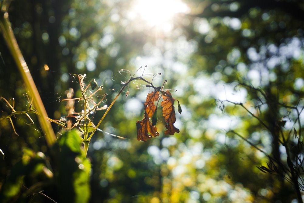Photograph by Artemij Pantyukhov