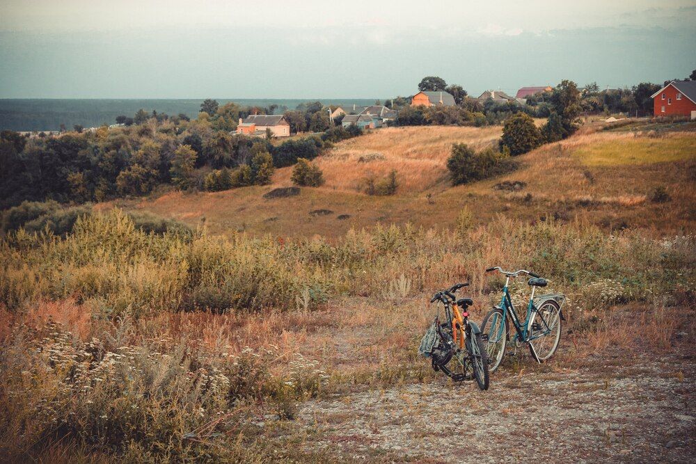 Photograph by Sonya Zhemchuzhnikova