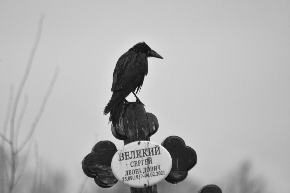 Photograph by Алексей Читеишвили