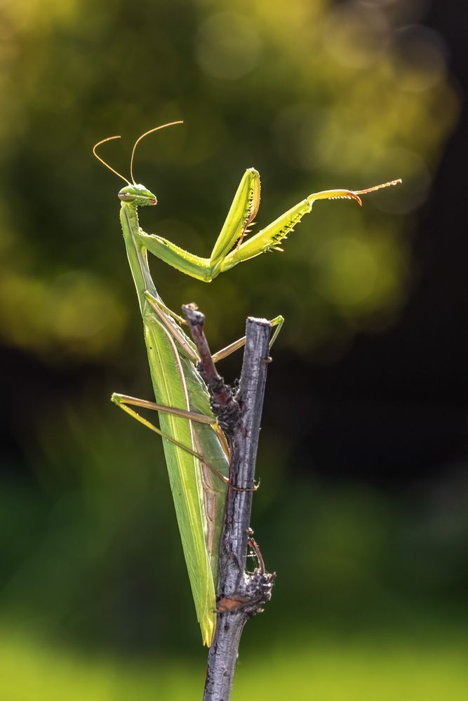 Photograph by Андрей Калинин