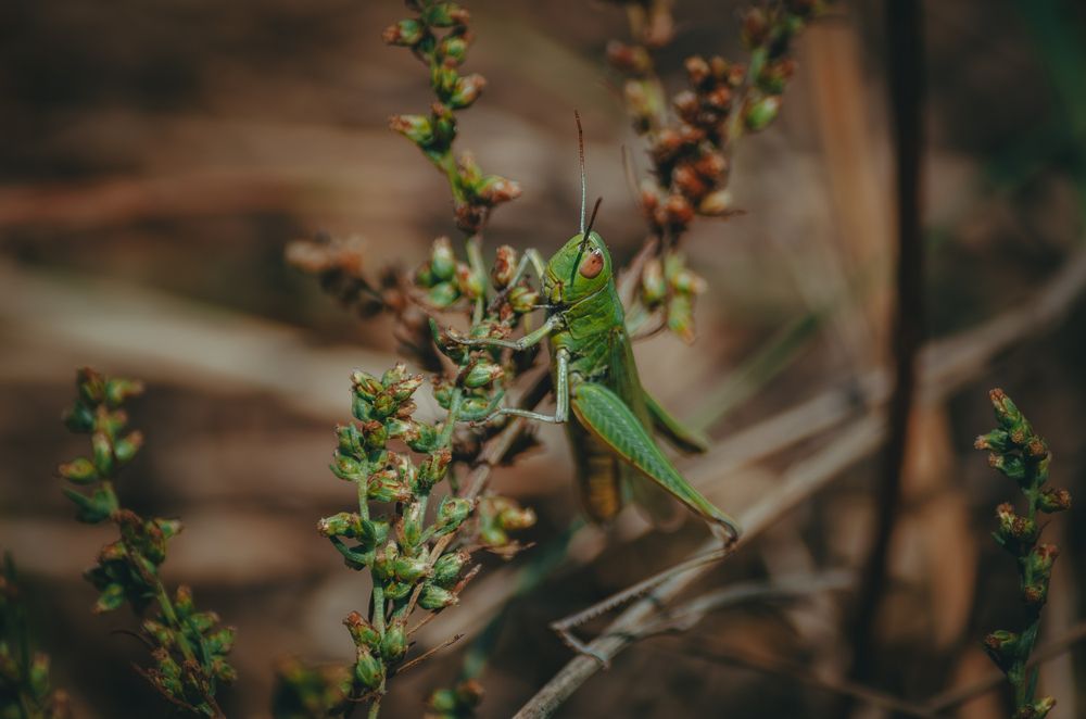 Photograph by Ольга Глущенко