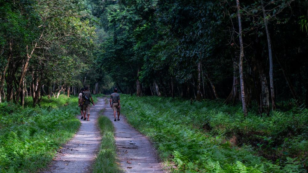 Photograph by ARANYA KAR