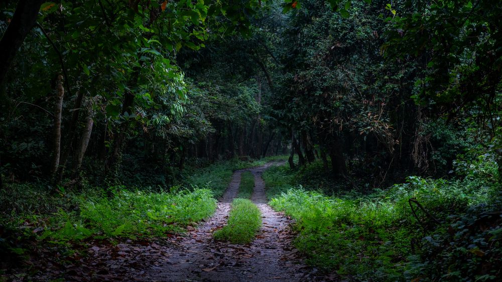 Photograph by ARANYA KAR