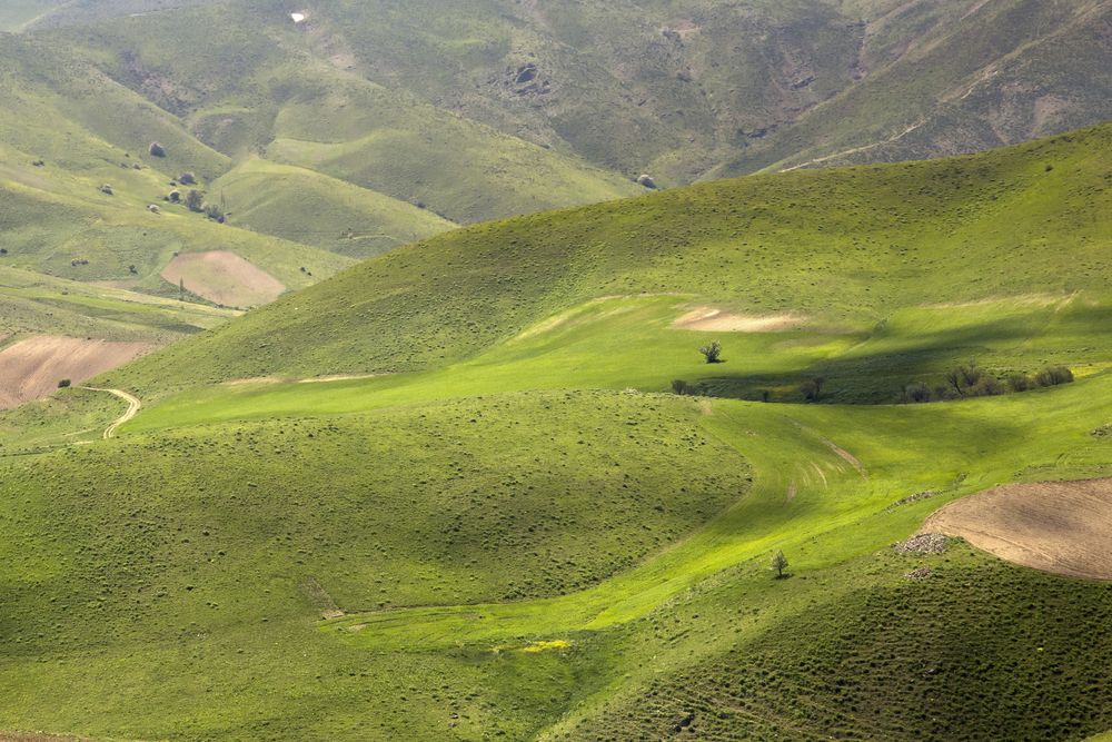 Photograph by Bavehie Farbod