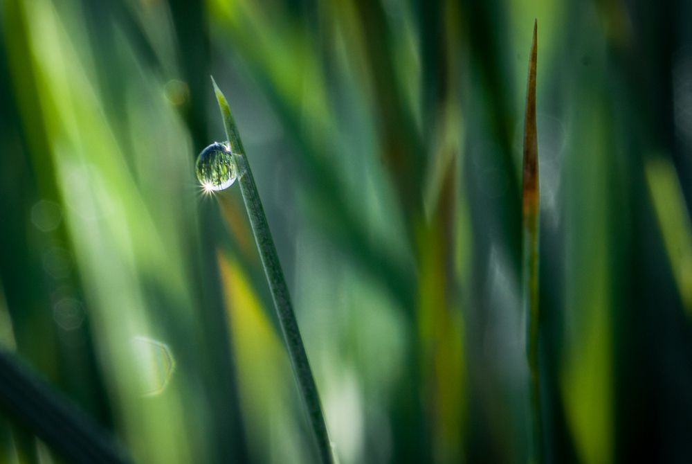 Photograph by Olga Vasina