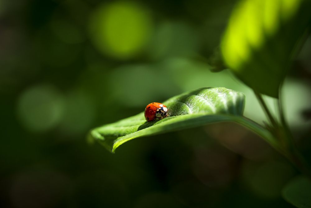 Photograph by Olga Vasina