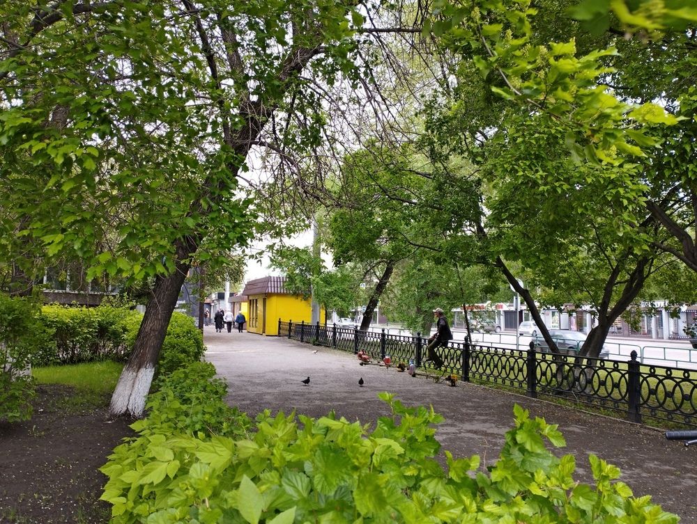 Photograph by Рашид Шайдулин