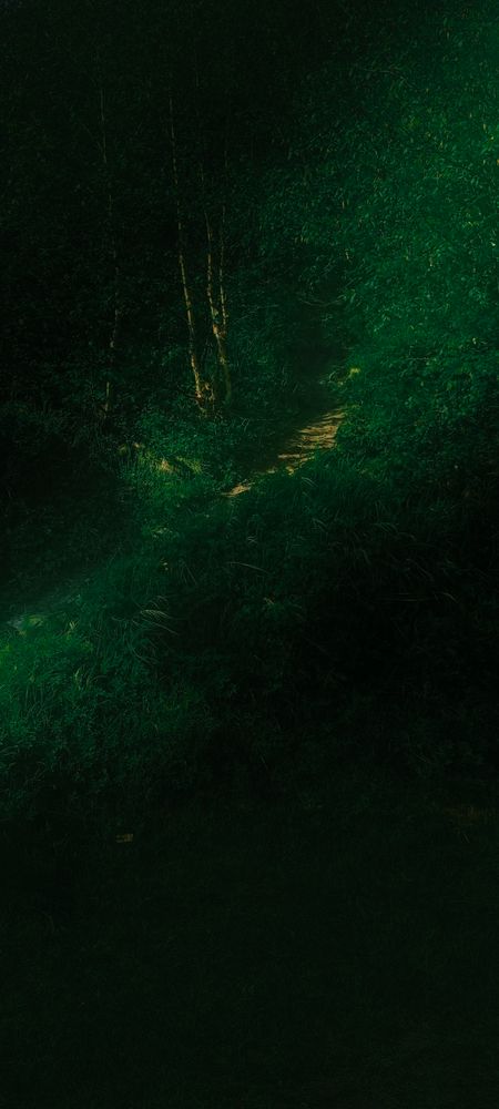 Photograph by Шельгорн Максим