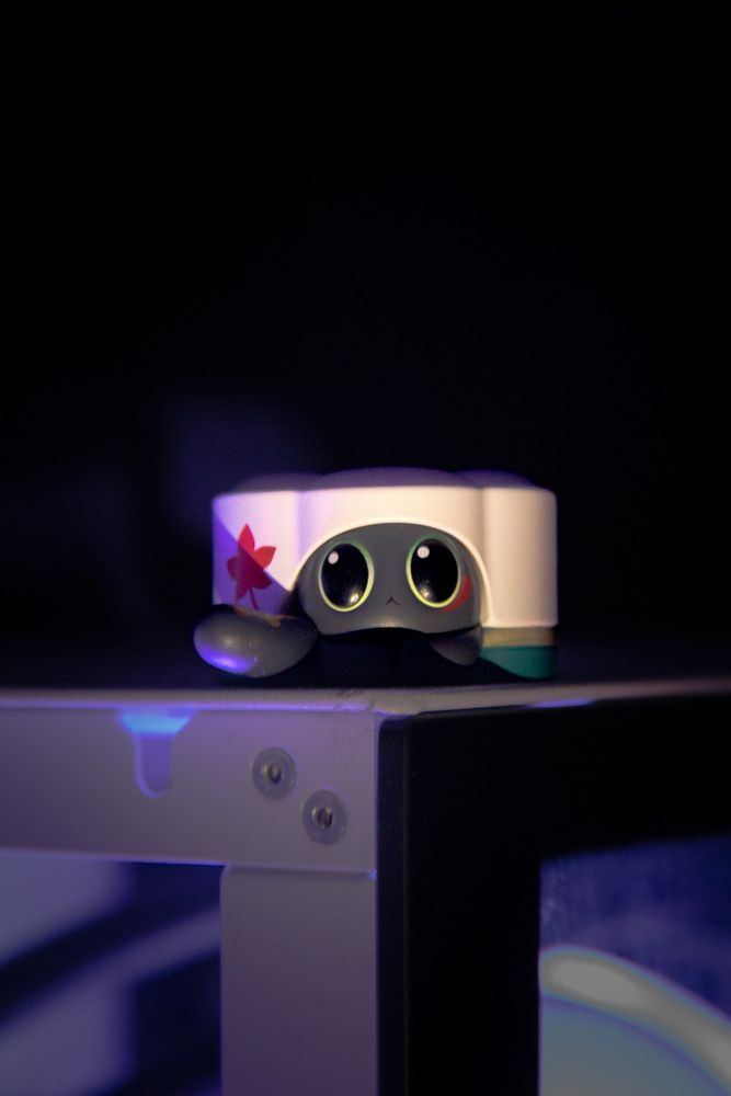 Photograph by Шельгорн Максим