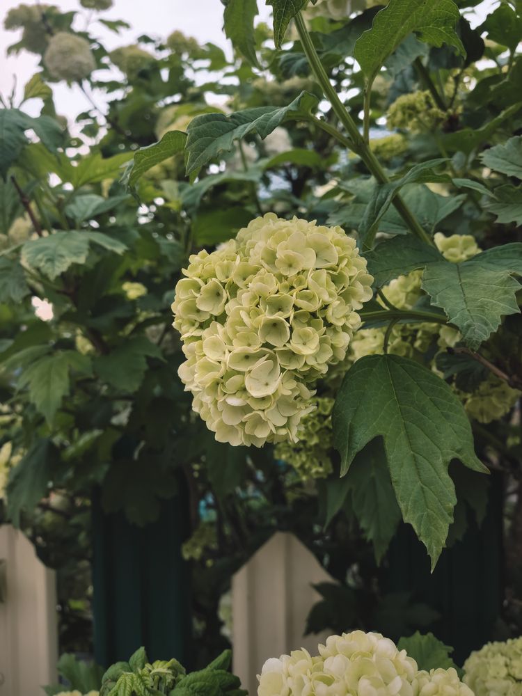 Photograph by Екатерина Вакалова