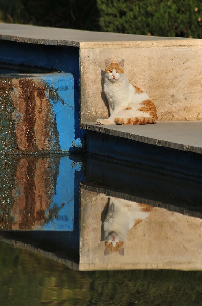 Photograph by Farid Ataei