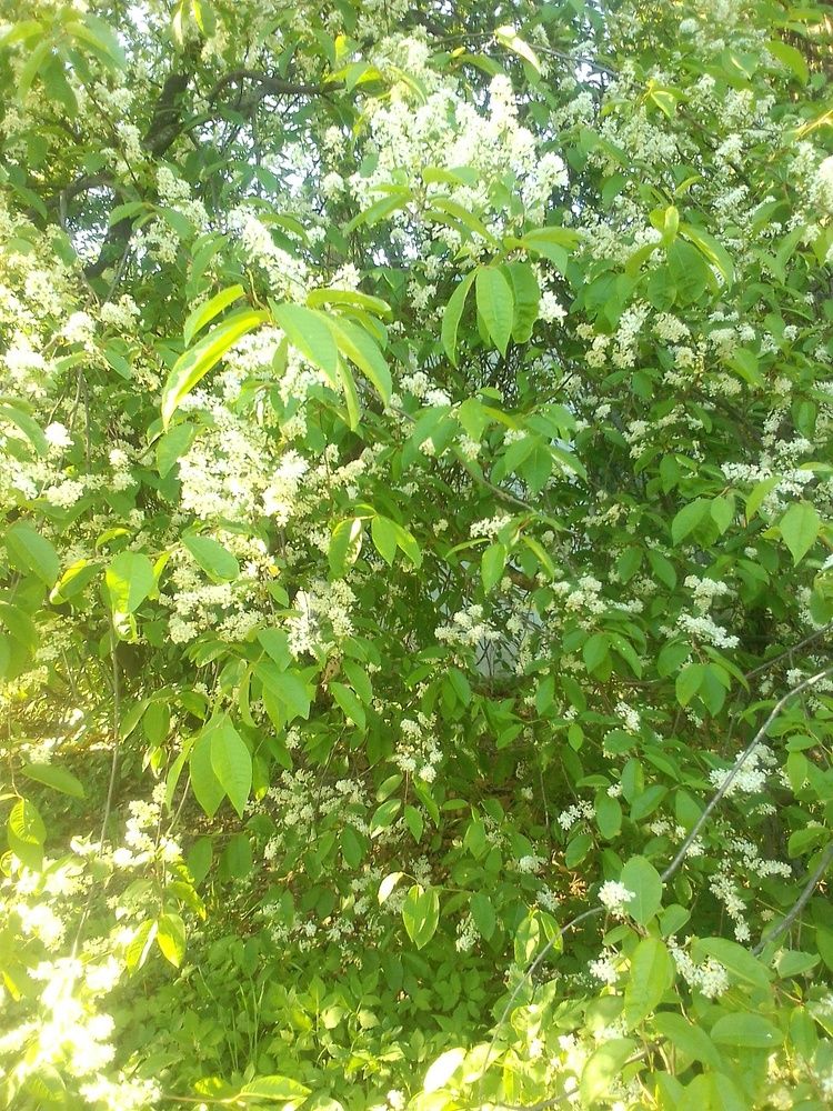 Photograph by Ольга Коркина