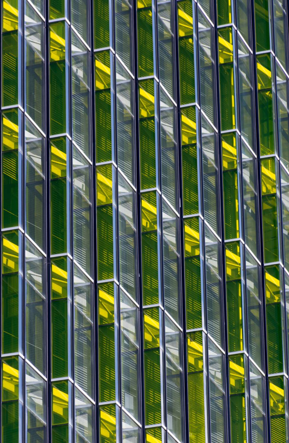 Fluo architecture