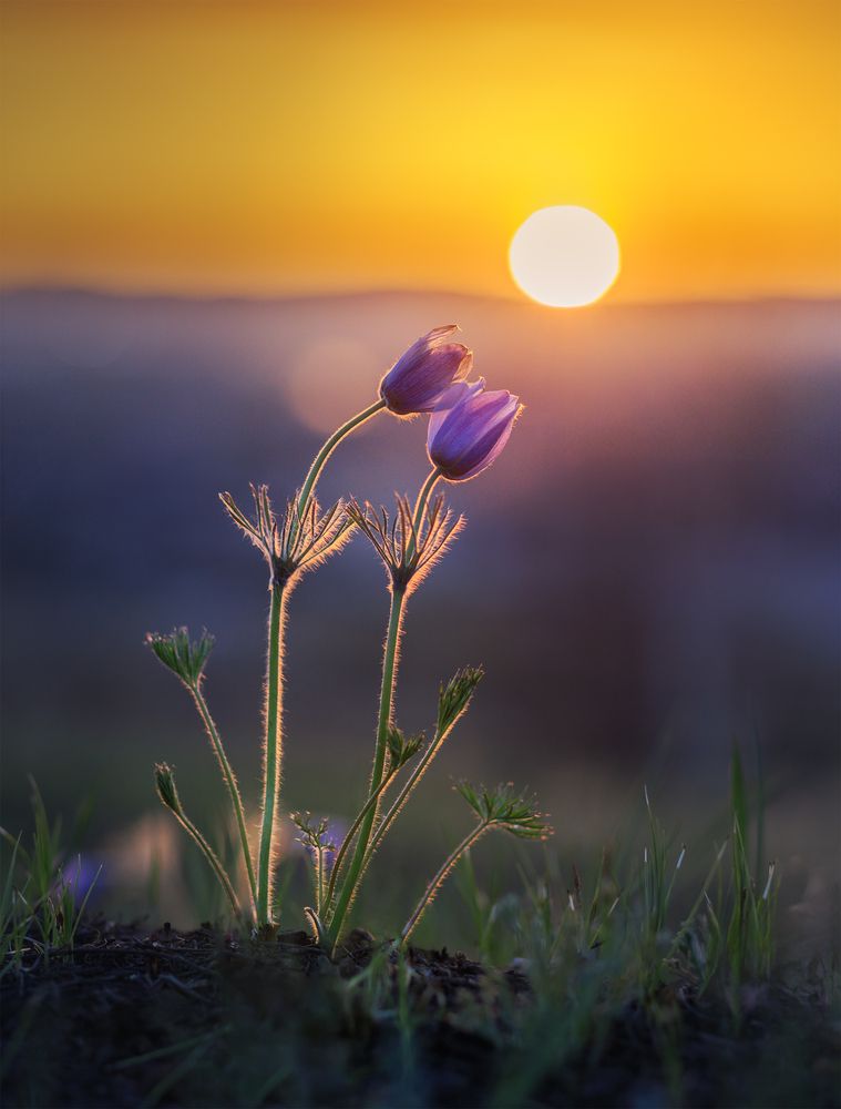 Photograph by Портных Дмитрий