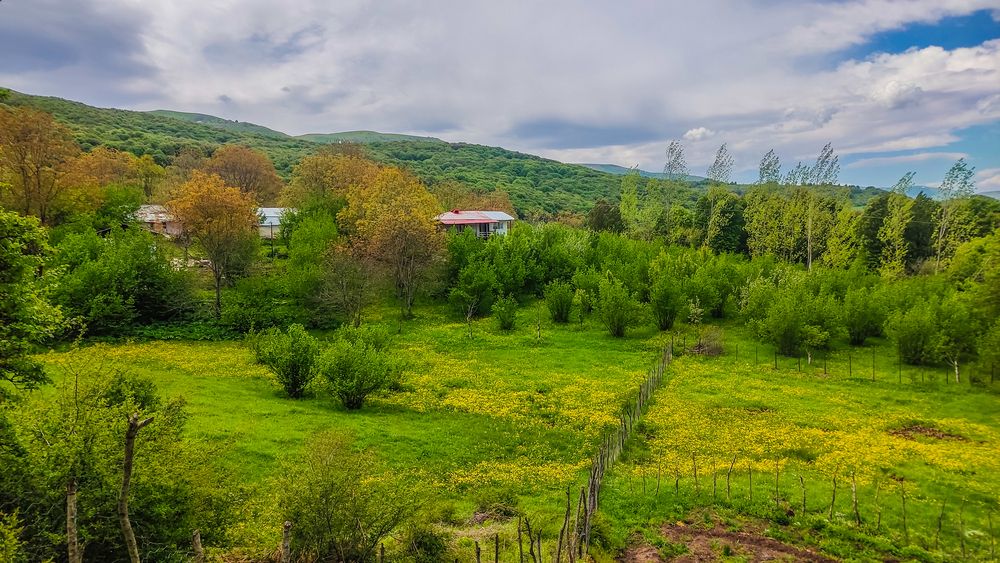 Фотография автора Vahid Basiri
