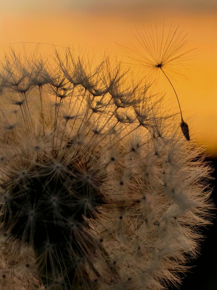 Photograph by Лолита Богачева