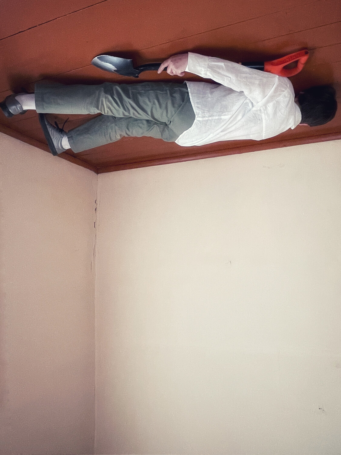 Photo #13641186