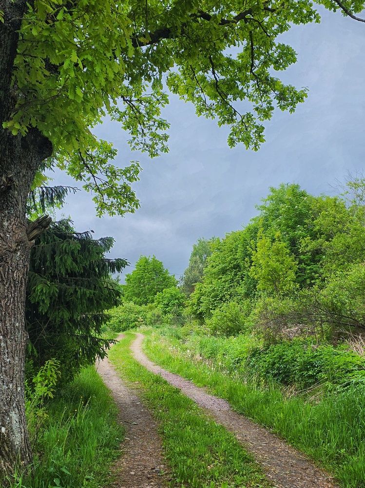 Photograph by Светлана Кустова