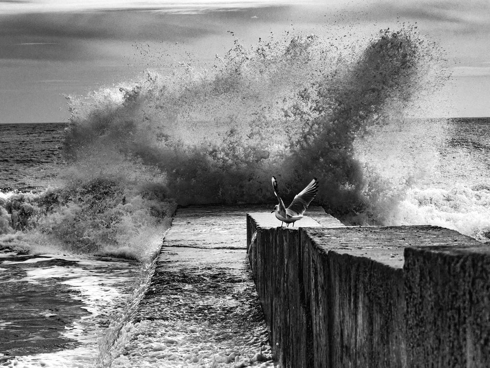 Photograph by Roman Sotnikov