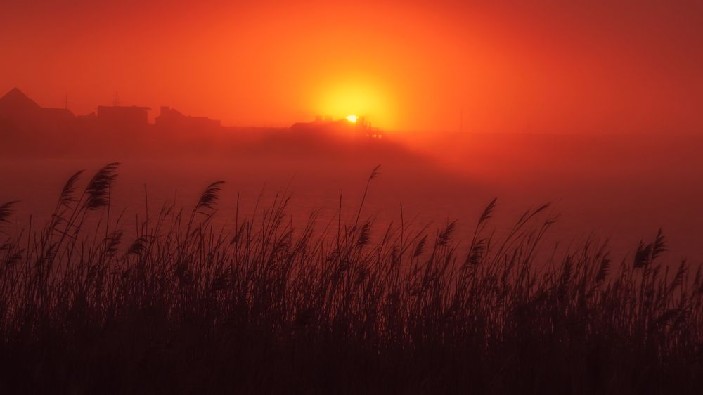 Photograph by Roman Sotnikov